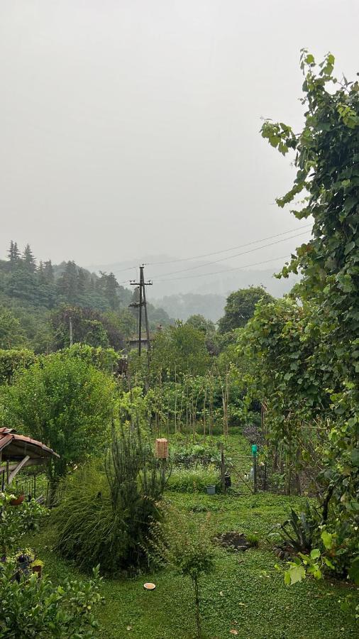 Gomis Mta Riverside Ozurget'i Dış mekan fotoğraf