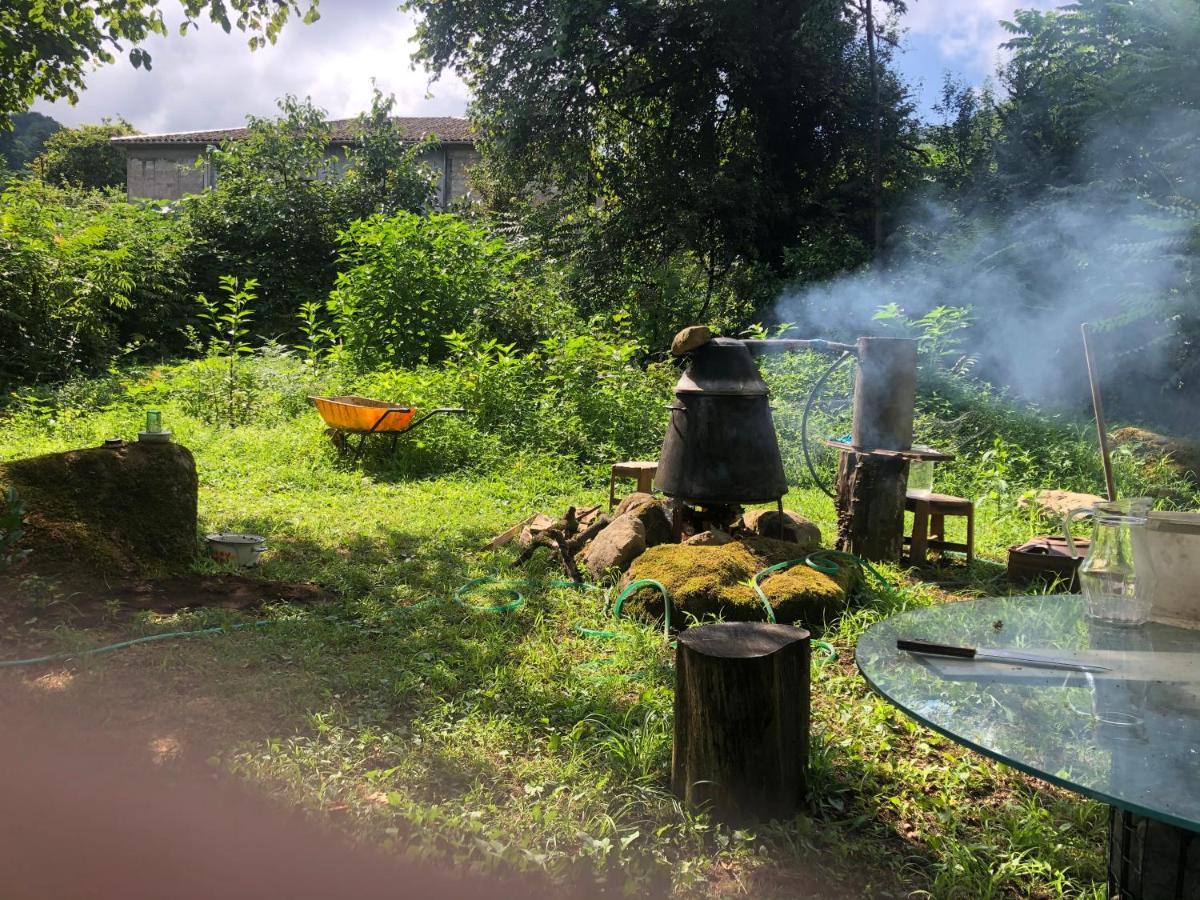 Gomis Mta Riverside Ozurget'i Dış mekan fotoğraf