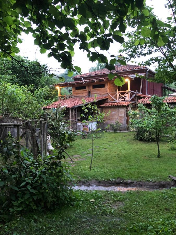 Gomis Mta Riverside Ozurget'i Dış mekan fotoğraf