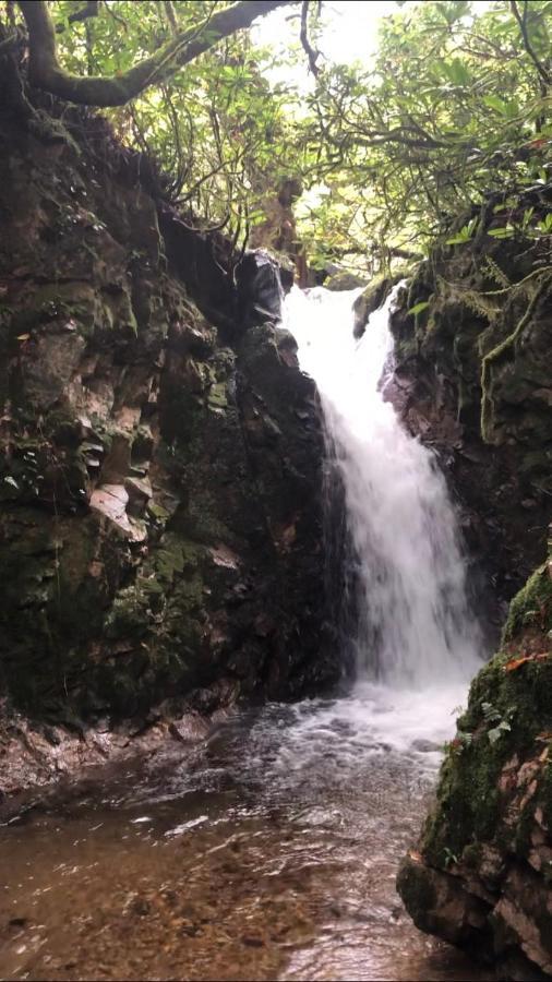 Gomis Mta Riverside Ozurget'i Dış mekan fotoğraf
