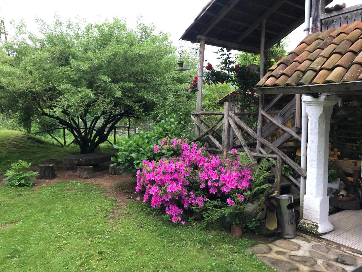 Gomis Mta Riverside Ozurget'i Dış mekan fotoğraf