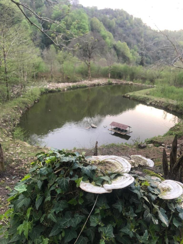 Gomis Mta Riverside Ozurget'i Dış mekan fotoğraf